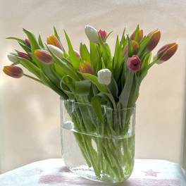 Bouquet of pink, white, and orange tulips in a clear glass vase