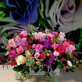 Vibrant Blooms