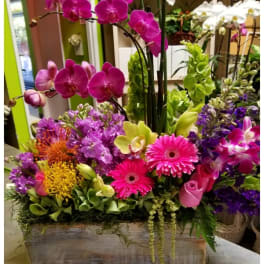 Exotic Orchid Garden