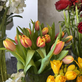 Tulip - Flower Market