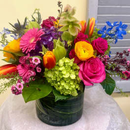 Lana's Spring