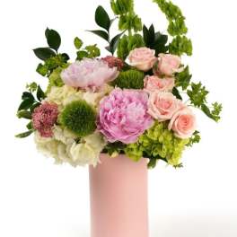 Peony Sweetness