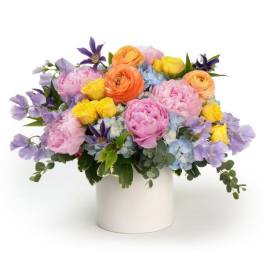 Spring Abudance