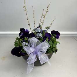 Pansy Bowl
