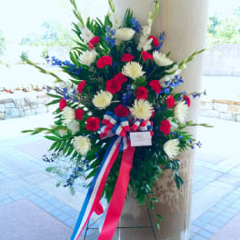 Patriotic Spirit Spray [TF215-3]