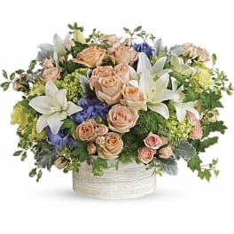 [TT-ARR64 D]: INTOXICATING BEAUTY DELUXE - Twin Towers Florist, Arlington VA
