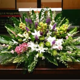PODIUM ARRANGEMENT 109 [TTPOD109]