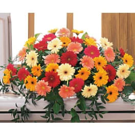Uplifting Thoughts Casket Spray [TF202-4]