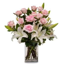 Kisses TMF13-223