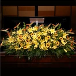 PODIUM ARRANGEMENT 121 [TTPOD121]