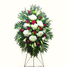 REMEMBRANCE SPRAY [TT-ANC29]