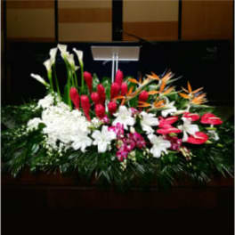 PODIUM ARRANGEMENT 117 [TTPOD117]