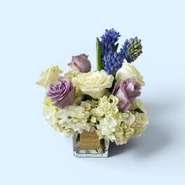 Lavender love 