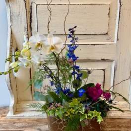 Orchid Planter