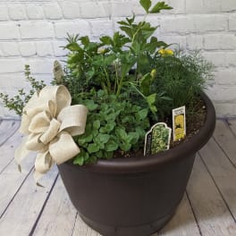 Herb Basket