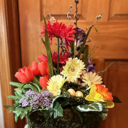 Spring Garden