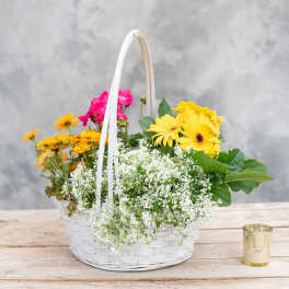 Spring English Garden II