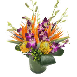 Tropical arrangement with orange birds of paradise and purple orchids in a glass vase