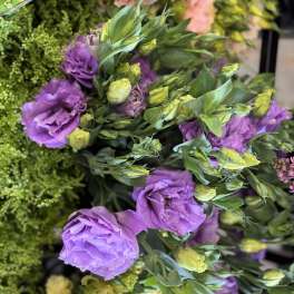 Purple lisianthus bouquet with green buds and foliage