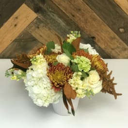 Designer's Choice Seasonal Fall