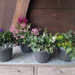 Mini Annual Planter Set – 9" Mixed Containers (Set of 2)