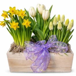 Blooming Bulb Planter Box