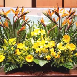 PODIUM ARRANGEMENT 144