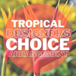 Tropical flowers with bold text reading "TROPICAL DESIGNERS CHOICE ARRANGEMENT"