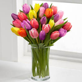 Colorful tulip bouquet in a clear glass vase