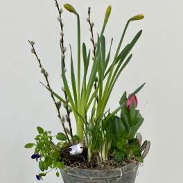 Spring Blossom Garden Pot by Westford Florist Art by Veny