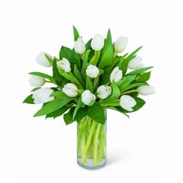 Arrangement of white tulips in a clear glass cylinder vase