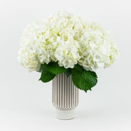 White Flurry