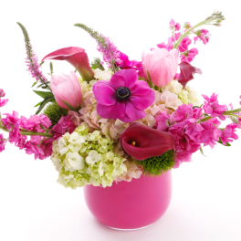 Pink Passion
