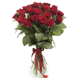 Hand Tide Roses