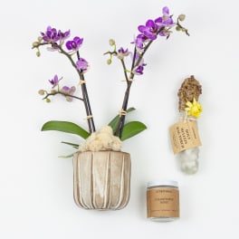 Peaceful Mind Gift Set