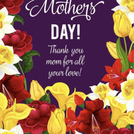 Mother's Day Designer's Choice $200
