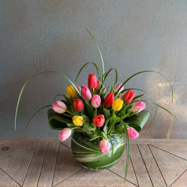 Twirling Tulips