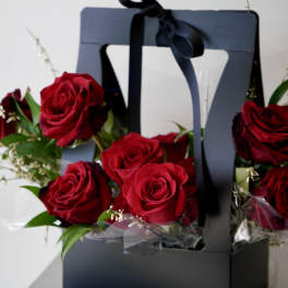 Elegant Black Box