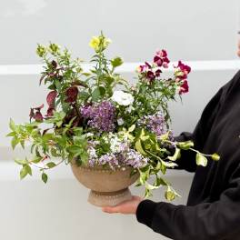 Seasonal Flower Garden