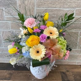 Susan's Splendor