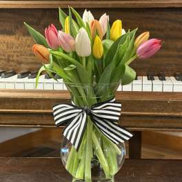 Mixed Tulips
