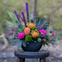 Tropics Bowl