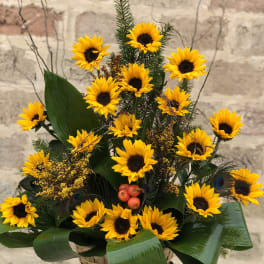 Basket arrangement of yellow sunflowers with dark centers