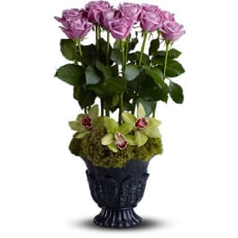 Tall arrangement of lavender roses and green orchids in a black pedestal vase