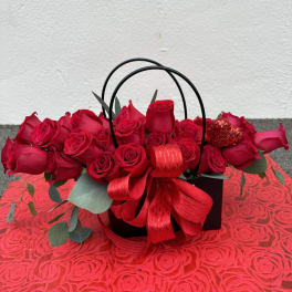 A purse for Her