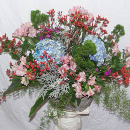 Connecticut Garden