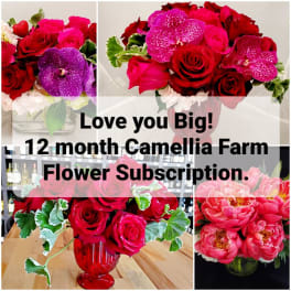 Collage of red and pink floral arrangements in vases with bold text overlay