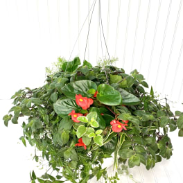 Aunt Netties Hanging Baskets