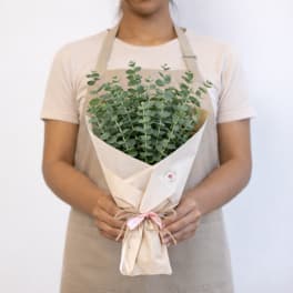 Self Care Eucalyptus Shower Bundle
