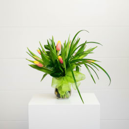 Dozen Tulips (Assorted Colors)